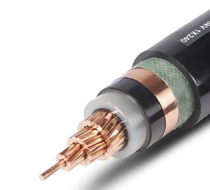 南洋電力電纜 中壓電纜